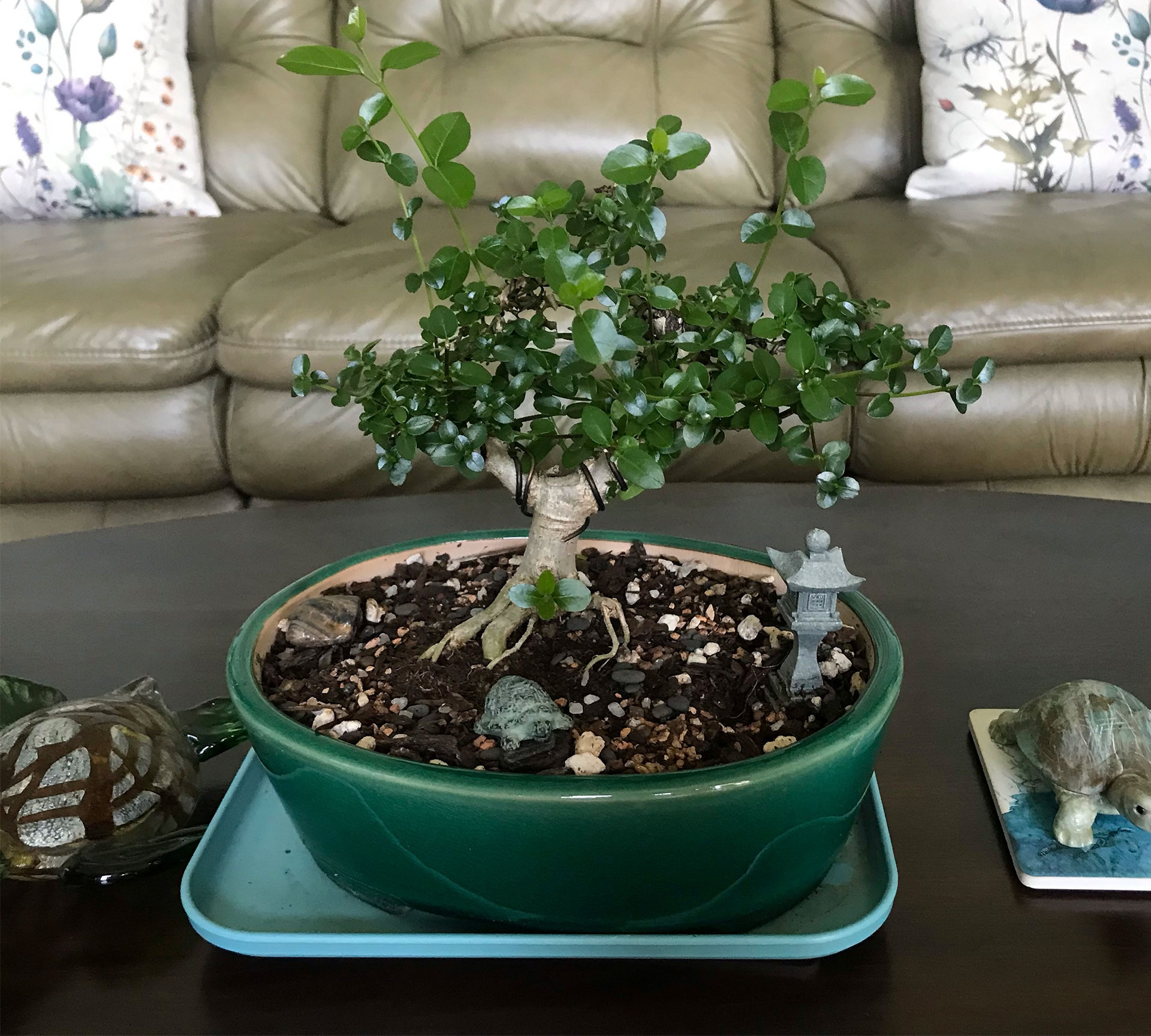 bonsai tree instructions Rolife Sakura Bonsai DIY Wooden 3D Puzzle TG415 main image 0
